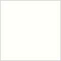 Ardex FL Rapid Set Flexible Sanded Grout, 25 lb