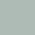 Ardex FL Rapid Set Flexible Sanded Grout, 25 lb