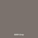 5009 Gray color swatch