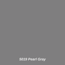 5019 Pearl Gray color swatch