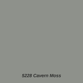 5228 Cavern Moss color swatch