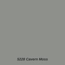 5228 Cavern Moss color swatch