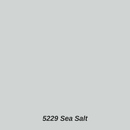 5229 Sea Salt color swatch