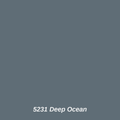 5231 Deep Ocean color swatch
