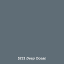 5231 Deep Ocean color swatch