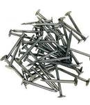 1-1/4""BLUE NAILS"-40-119-